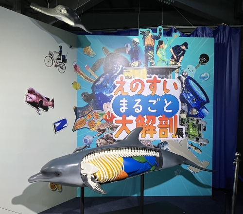 投稿サムネイル